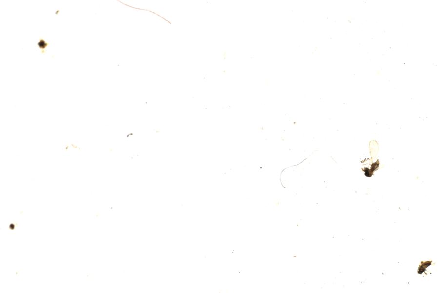 Image 57